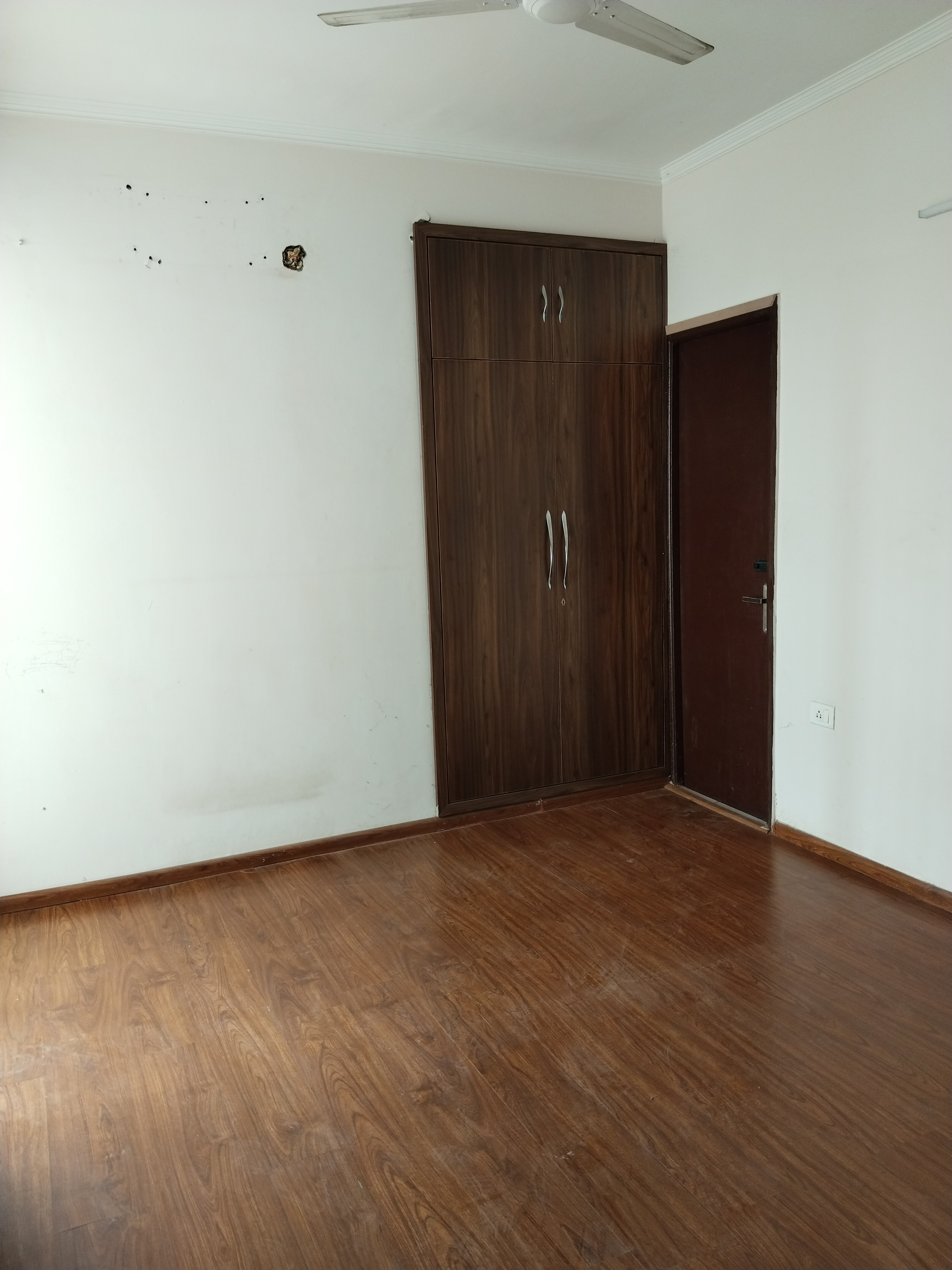 2 BHK + Study Room Apartment For Rent in Amrapali Leisure Park