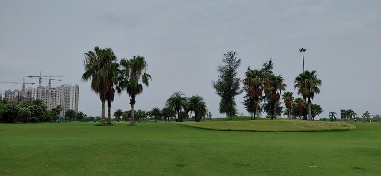 Garden, zestha-bhagirath-vihar-residency  200 Sq.Yd. Plot In Sector 27 Yamuna Expressway Greater Noida 8851741