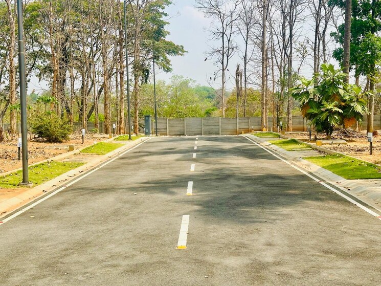 Exterior View, kaggalipura  1200 Sq.Ft. Plot In Kaggalipura Bangalore 8851852