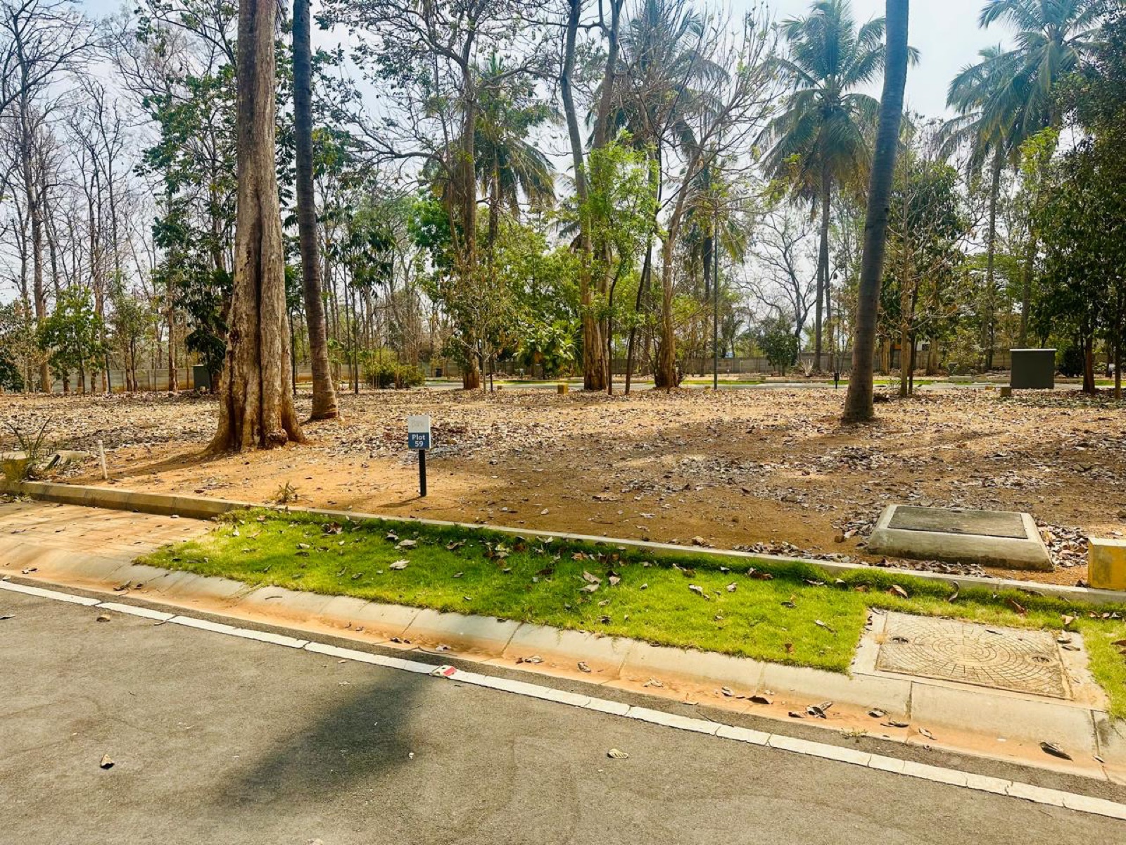 Plot For Sale in Rainbow Park