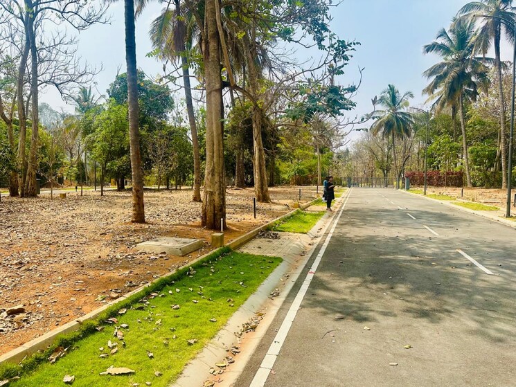 undefined, kaggalipura  1200 Sq.Ft. Plot In Kaggalipura Bangalore 8851852