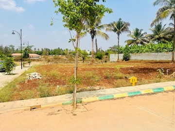 Plot Area in  Plot at Kaggalipura – for Sale