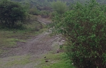 Plot For Sale in Wadki