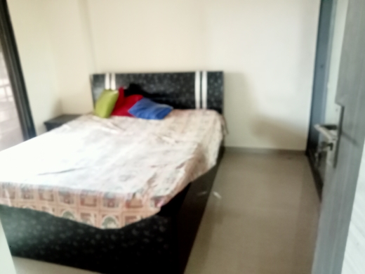 1 BHK Apartment For Rent in Salasar Aangan