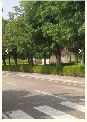  Plot – Garden View at DLF Hyde Park, South Mullanpur - for Sale