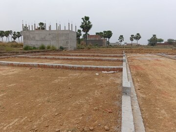 Plot Area in  Plot at Solitaire Royal, Jhalwa – for Sale
