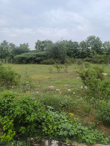 Plot Area in  Plot at Tallavalasa – for Sale
