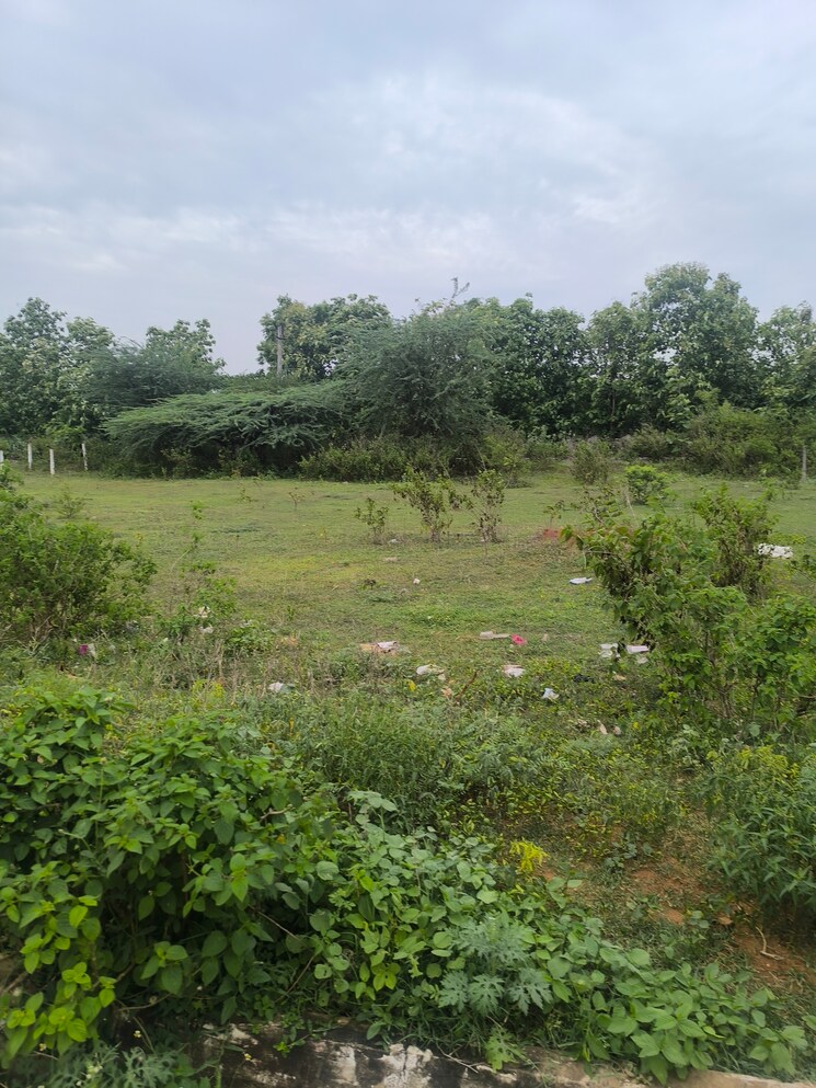 undefined, tallavalasa  216 Sq.Yd. Plot In Tallavalasa Vizag 8852189