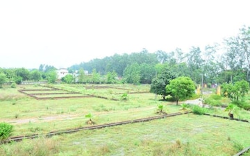 Land For Sale in Chandpur
