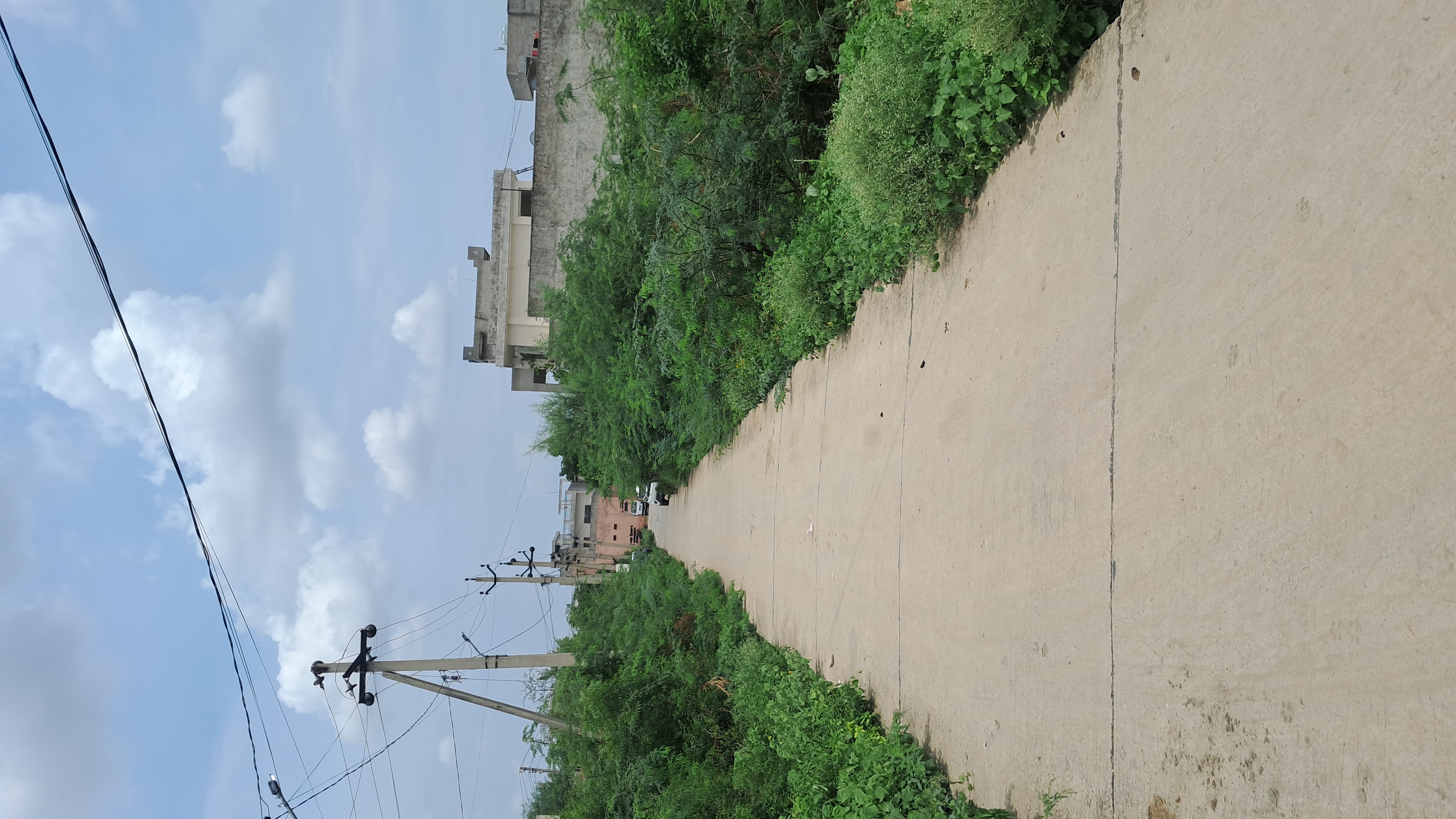 Plot For Sale in Shiv Colony