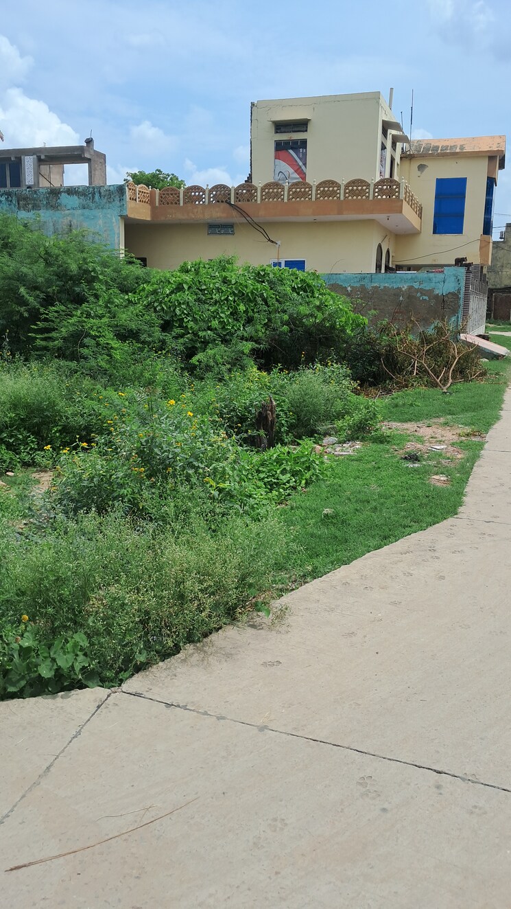 Garden, tijara  166 Sq.Yd. Plot In Tijara Alwar 8852239