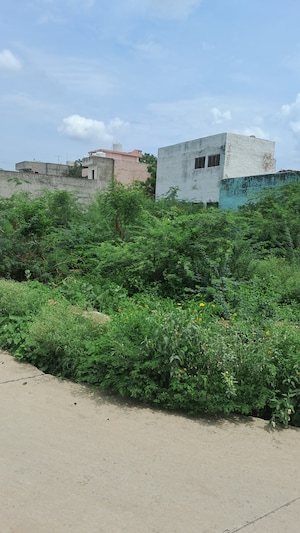 Plot Area in  Plot at Tijara – for Sale