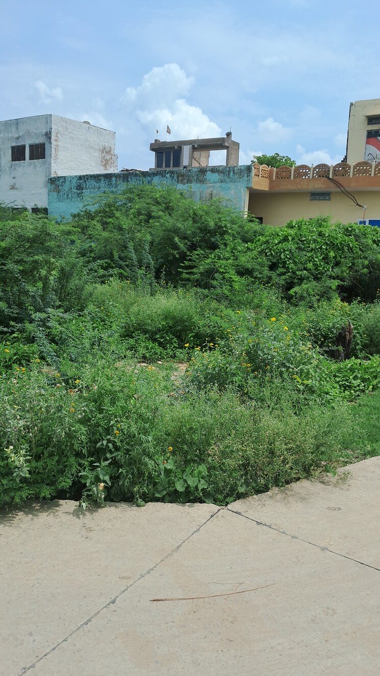 undefined, tijara  166 Sq.Yd. Plot In Tijara Alwar 8852239