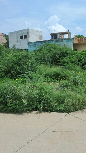 Plot Area in  Plot at Tijara – for Sale