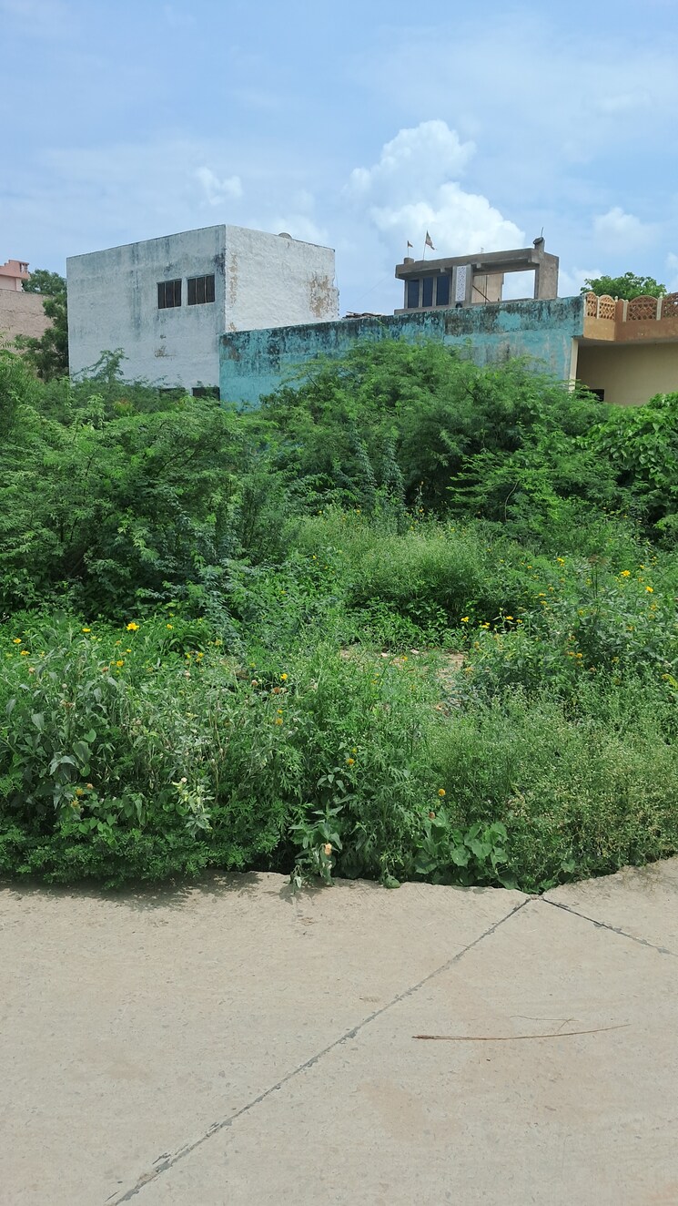 undefined, tijara  166 Sq.Yd. Plot In Tijara Alwar 8852239