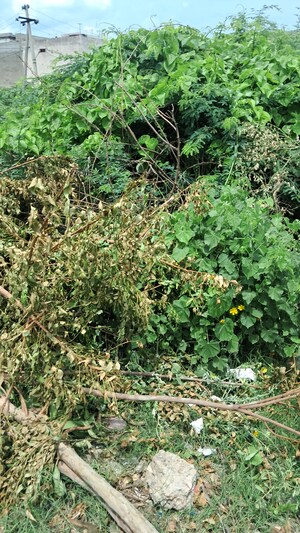  Plot – Exterior View View at Tijara - for Sale