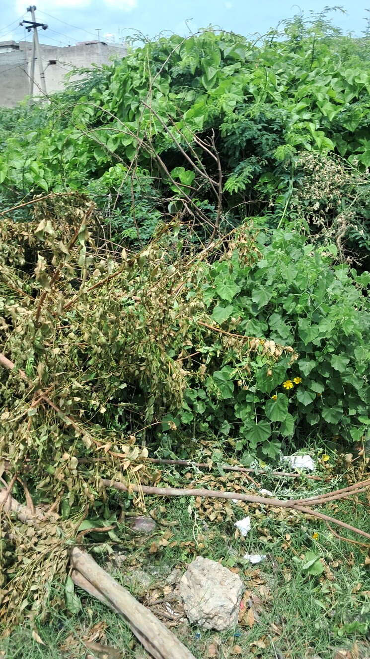 Exterior View, tijara  166 Sq.Yd. Plot In Tijara Alwar 8852239