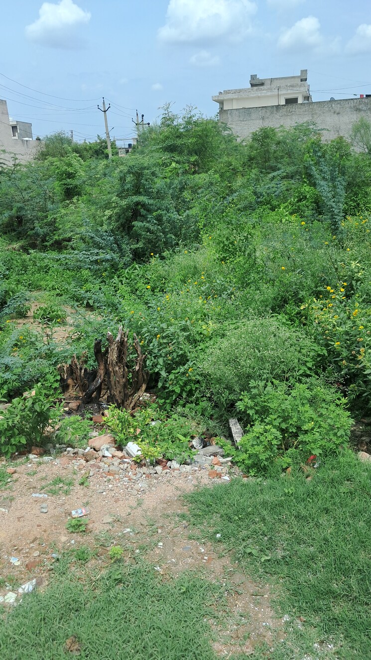 Exterior View, tijara  166 Sq.Yd. Plot In Tijara Alwar 8852239