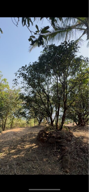  Land – Exterior View View at Chiplun - for Sale