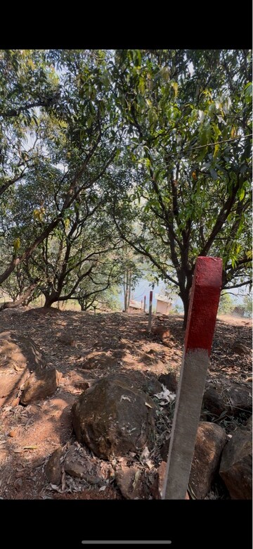  Land – Exterior View View at Chiplun - for Sale