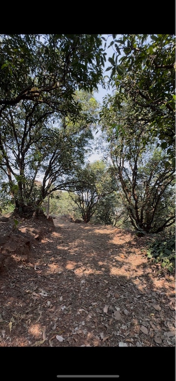  Land – Exterior View View at Chiplun - for Sale