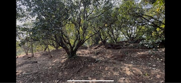  Land – Exterior View View at Chiplun - for Sale