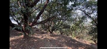  Land – Exterior View View at Chiplun - for Sale