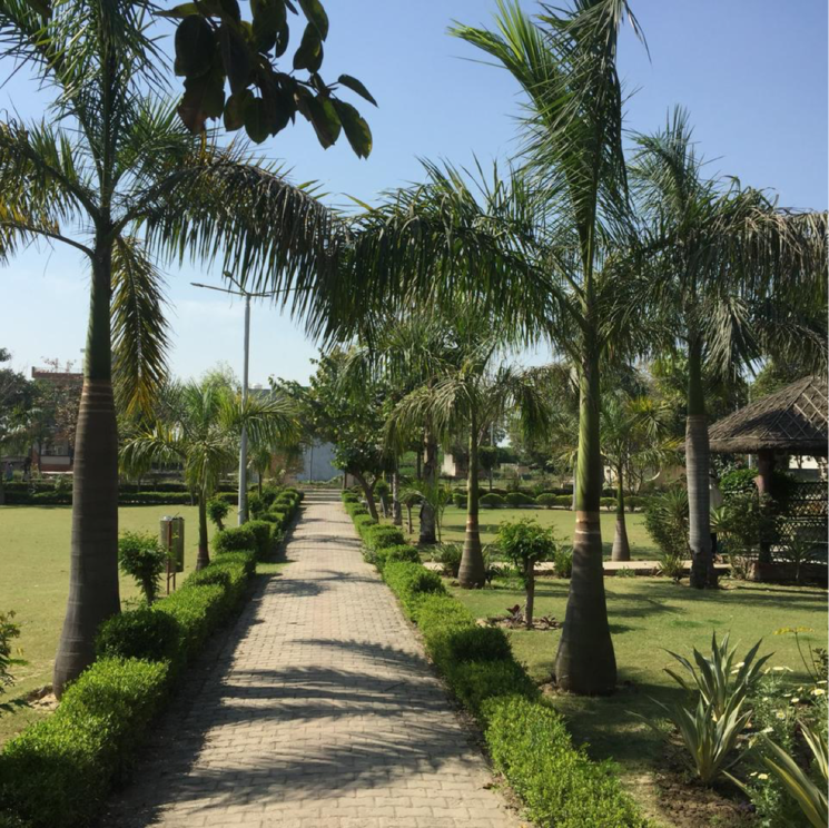 Others, zestha-bhagirath-vihar-residency  250 Sq.Yd. Plot In Murshadpur Greater Noida 8852379