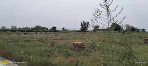 Plot Area in  Plot at Rose N City 3, Duhai – for Sale