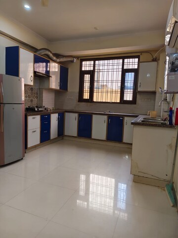 Kitchen in 3 BHK Builder Floor at Sector 15 ii – for Rent