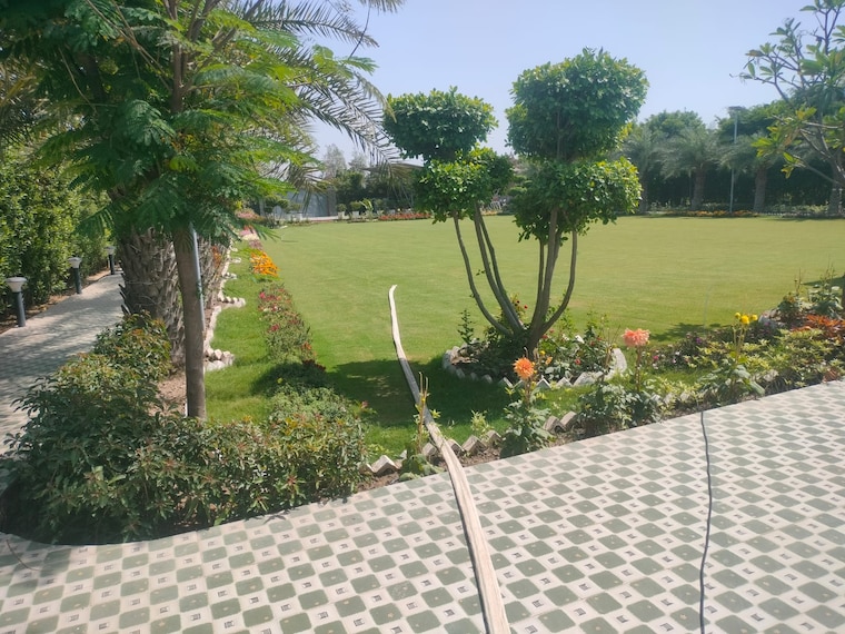 Garden, asoati  240 Sq.Yd. Plot In Asoati Palwal 8852443