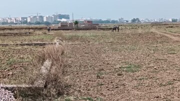 Plot Area in  Plot at Sohna Road – for Sale