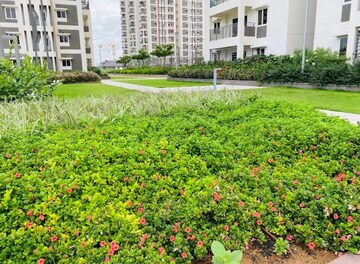 2 BHK Apartment – Garden View at Aparna Serene Park, Kondapur - for Rent