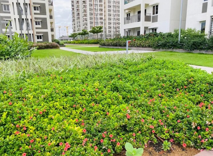 Garden, kondapur 3 Bedroom 1710 Sq.Ft. Apartment In Kondapur Hyderabad 8852501