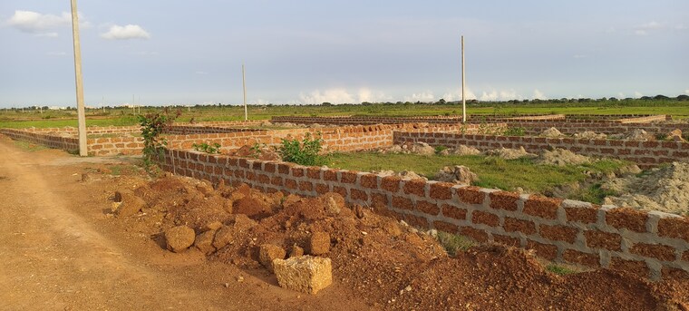 undefined, patrapada  1250 Sq.Ft. Plot In Patrapada Bhubaneswar 8852504