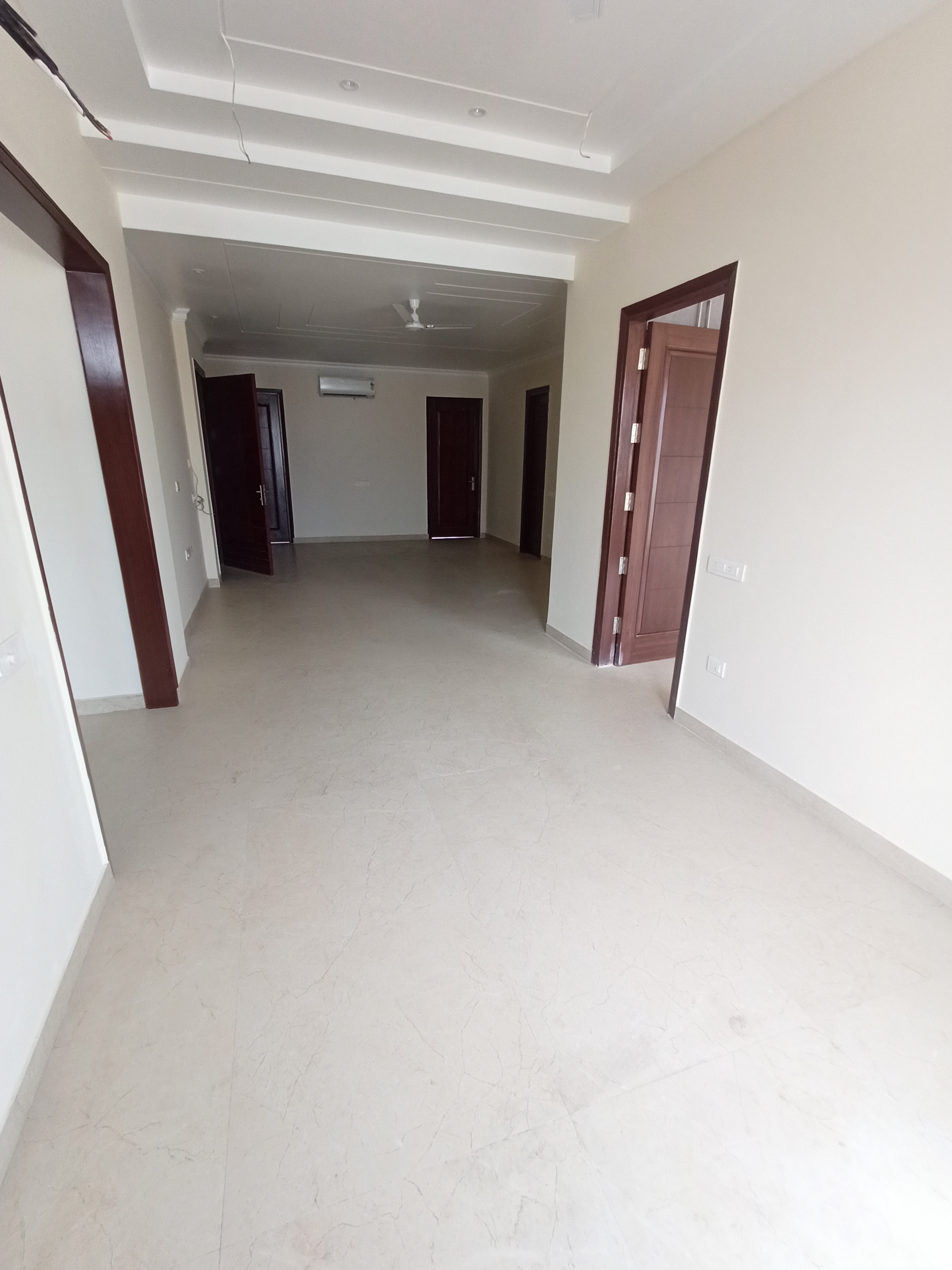 3 BHK + Study Room Builder Floor For Rent in Sector 15