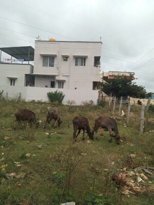  Plot For Sale in Santosha Nilayam, Kanaka Nagar