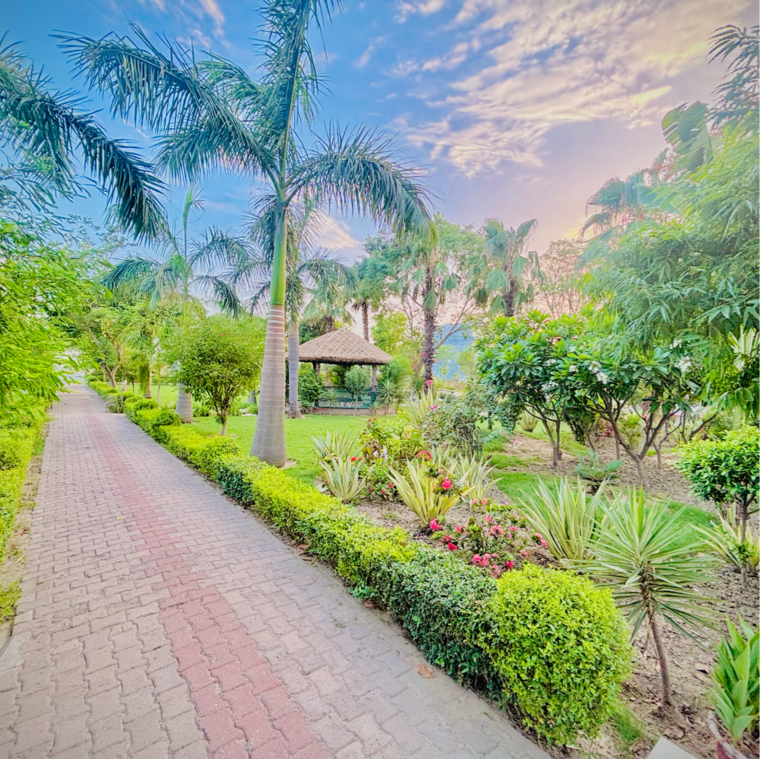 Garden, zestha-bhagirath-vihar-residency  200 Sq.Yd. Plot In Murshadpur Greater Noida 8852639