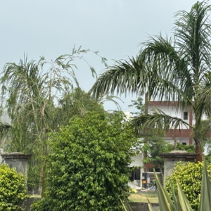  Plot – Exterior View View at Zestha Bhagirath Vihar Residency, Murshadpur - for Sale