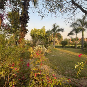  Plot – Garden View at Zestha Bhagirath Vihar Residency, Murshadpur - for Sale
