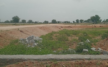 Plot For Sale in Peddakaparthy