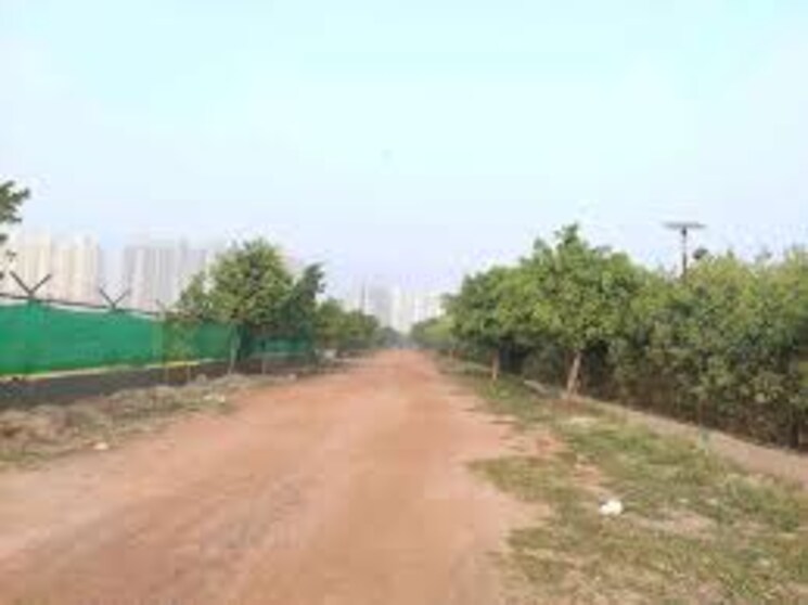 undefined, charmwood village  500 Sq.Yd. Plot In Charmwood Village Faridabad 8852893