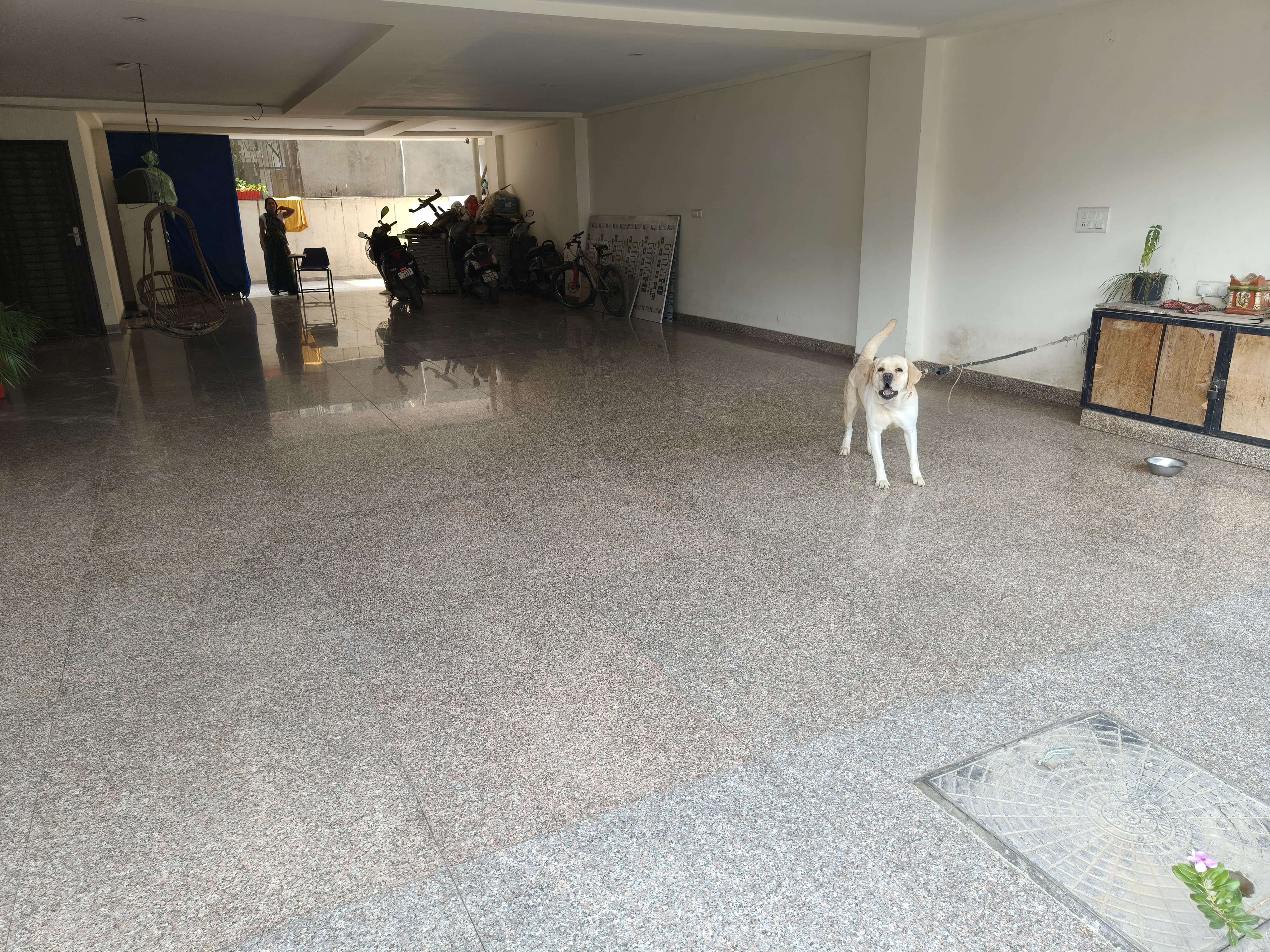 4 BHK + Servant Room Apartment For Rent in SS Mayfield Gardens