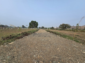  Plot For Sale in Nipania