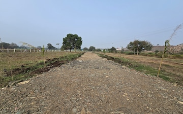 Plot For Sale in Nipania