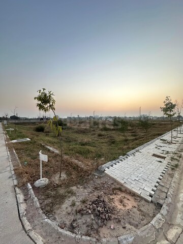  Plot For Sale in Amolik Aster Woods, Sector 98