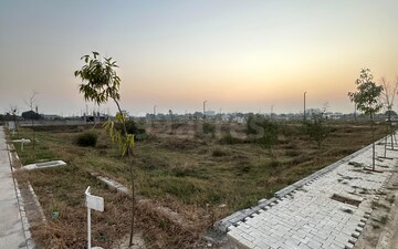 Plot For Sale in Amolik Aster Woods, Sector 98