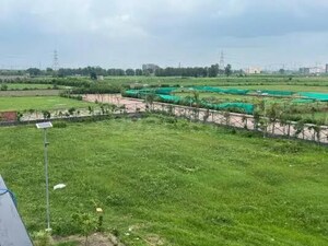 Plot Area in  Land at Sorkha – for Sale