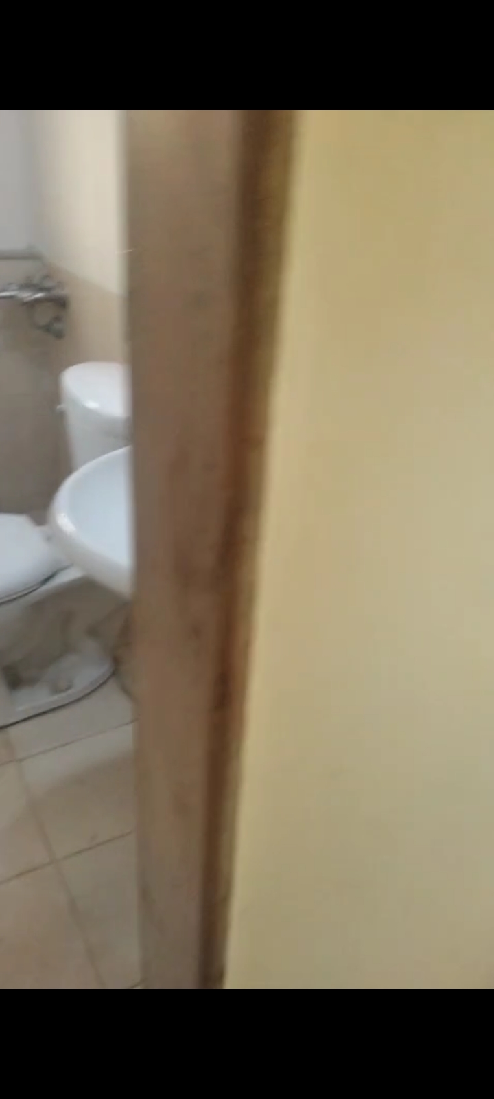 1 BHK + Pooja Room 500 Sq.Ft. Apartment in Hiranandani Estate Silverlink