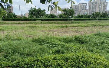 Plot For Sale in Sector 98